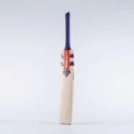 Gray-Nicolls Megapower 5 Star Bat - Front