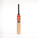Gray-Nicolls Shockwave 2.0 Thunder Cricket Bat - Front
