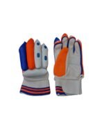India B-101 Batting Gloves - Overview