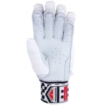Gray-Nicolls Pro Performance Batting Gloves - Front