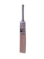 Sareen Sports Master 99 English Willow Cricket Bat - Front