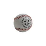 Gray-Nicolls Stoolball - Front